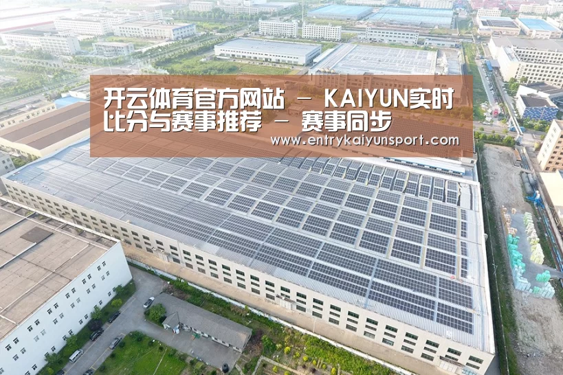 案例展示二