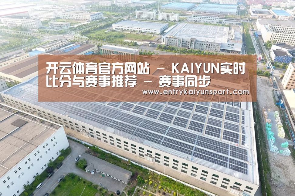 案例展示一