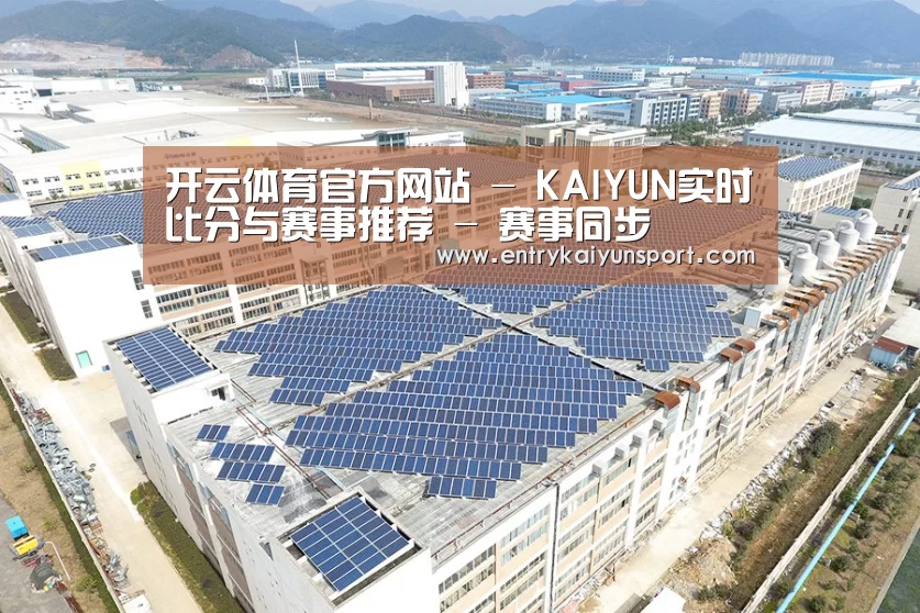 案例展示三