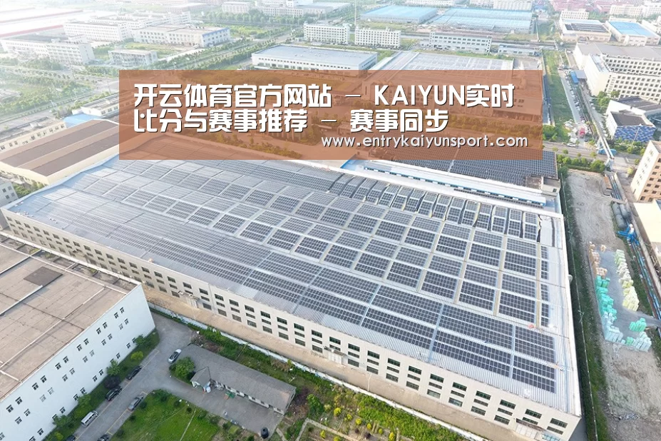 案例展示二