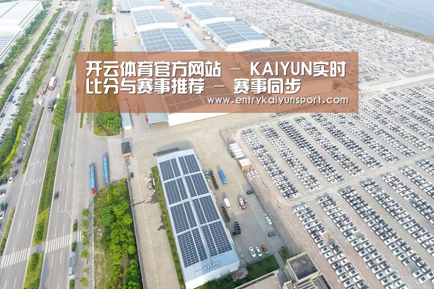 案例展示一