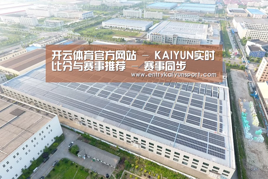 案例展示三