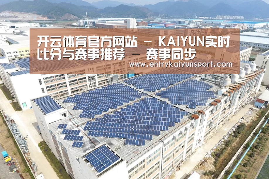 案例展示四
