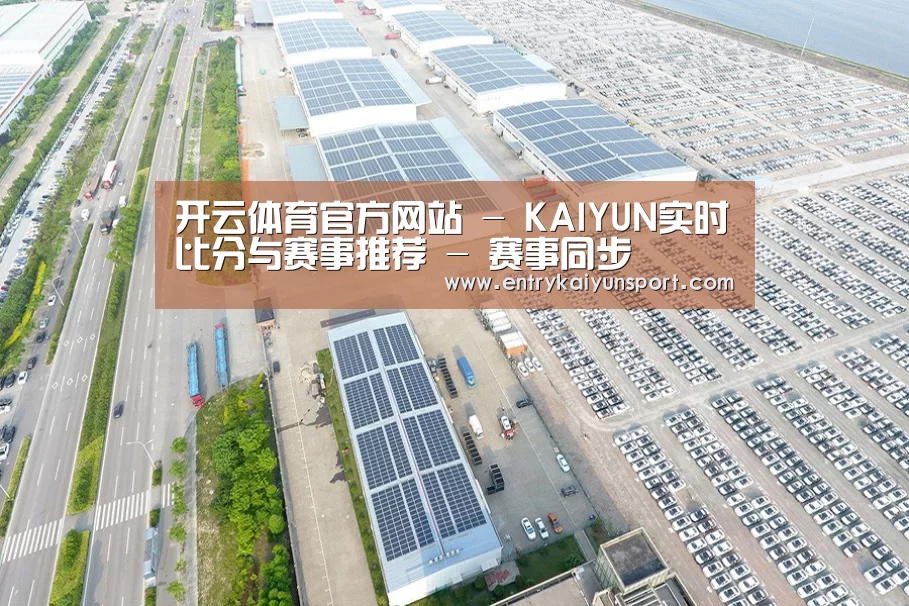 案例展示三