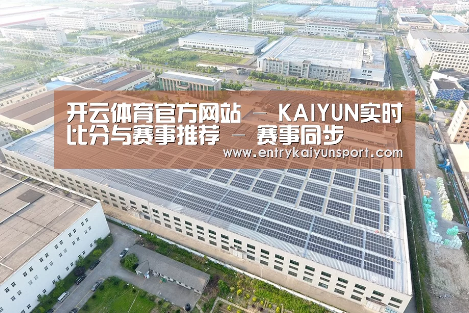 案例展示四