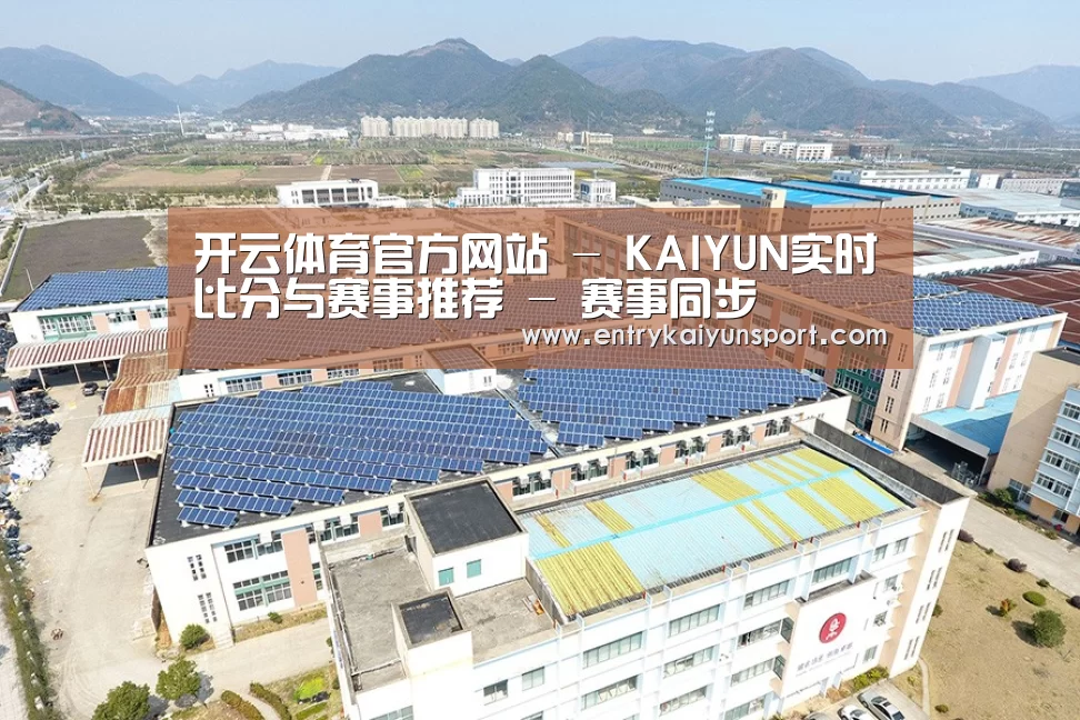 案例展示三