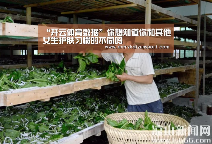 开云体育数据中心