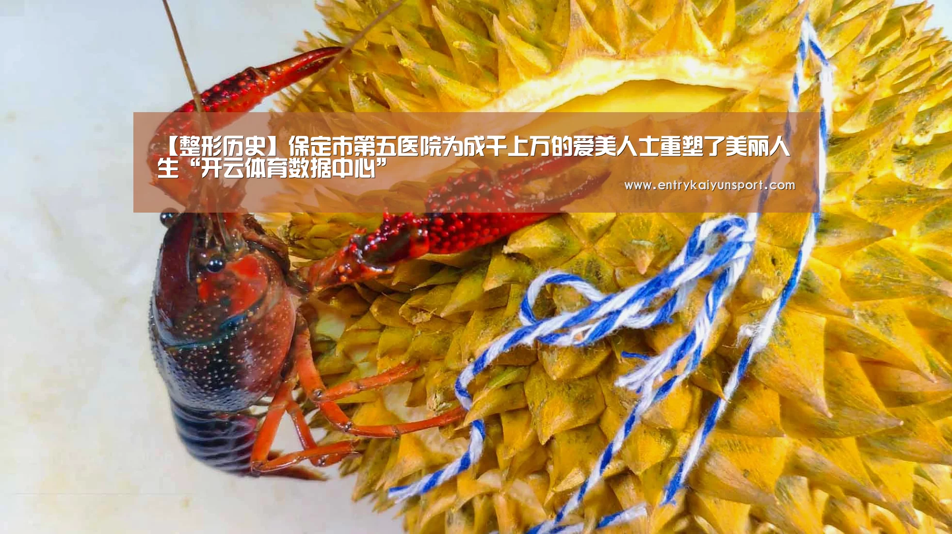 开云体育数据