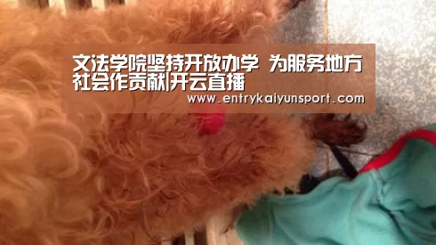 开云体育官网