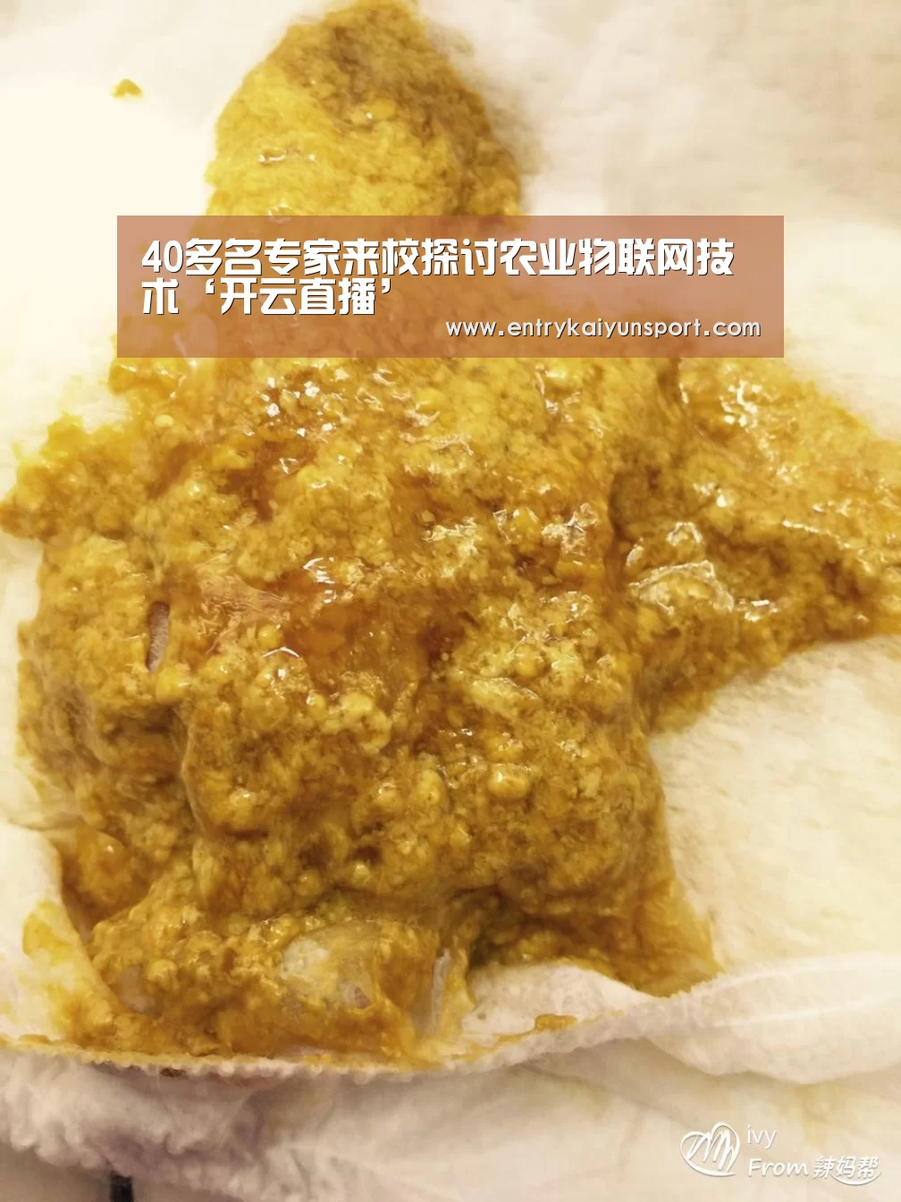 开云体育数据中心