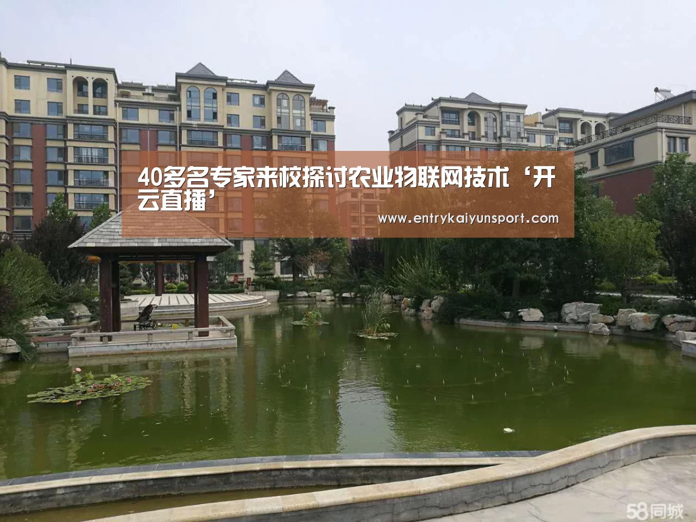 开云体育数据