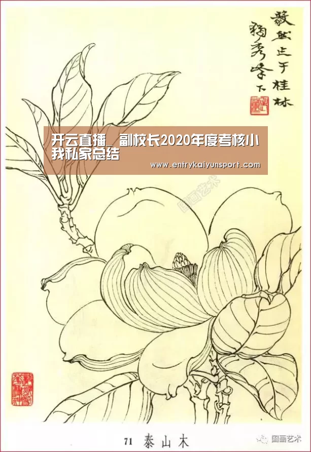 开云体育官网