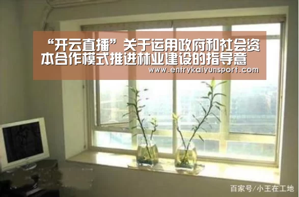 开云体育官网