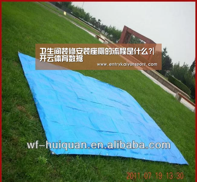 卫生间装修安装座厕的流程是什么?|开云体育数据(图1) 开云体育数据